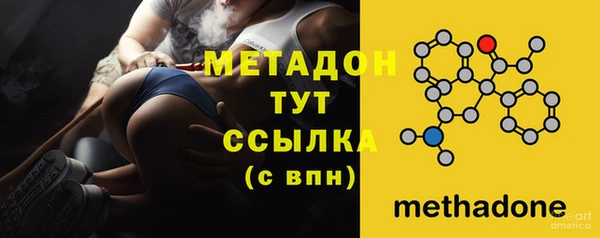 шишки Аркадак