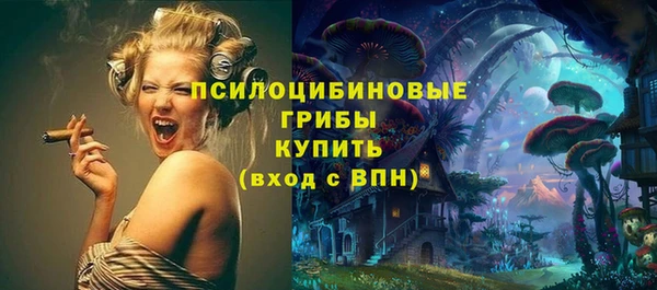 шишки Аркадак