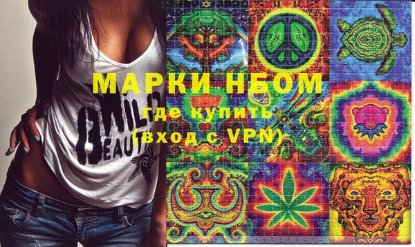 шишки Аркадак