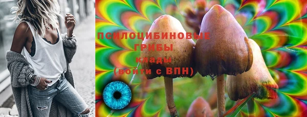 шишки Аркадак