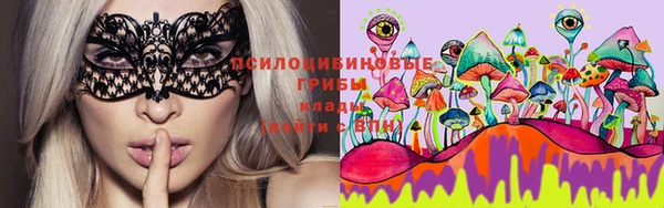 шишки Аркадак