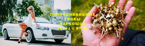 PSILOCYBIN Армянск