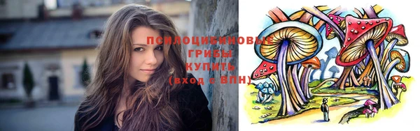 шишки Аркадак