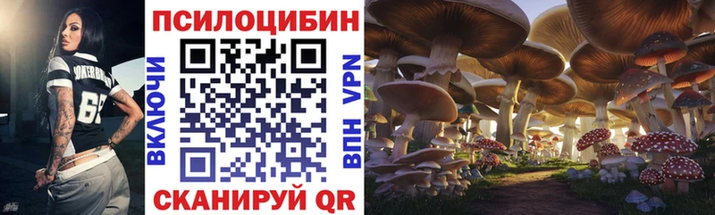 цена   мега ТОР  Псилоцибиновые грибы Psilocybine cubensis  Сорск 